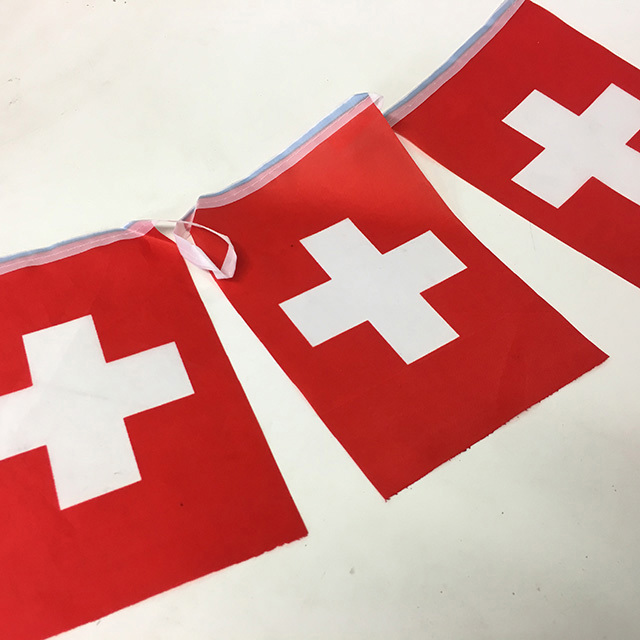 BUNTING, Swiss 4m Polyester